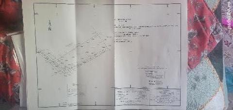 1_747.jpg