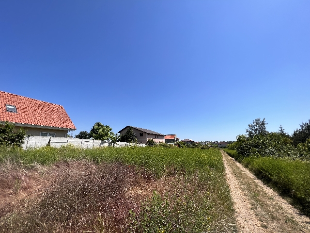 1_teren_de_vanzare_lazu_254.jpg