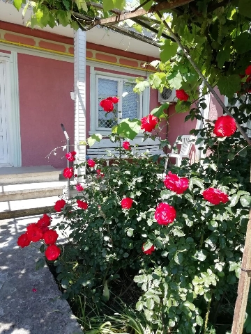 Casa cu terenul aferent