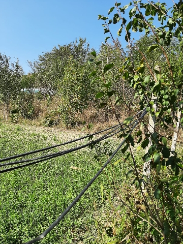 Teren intravilan in Valea Lunga langa Blaj