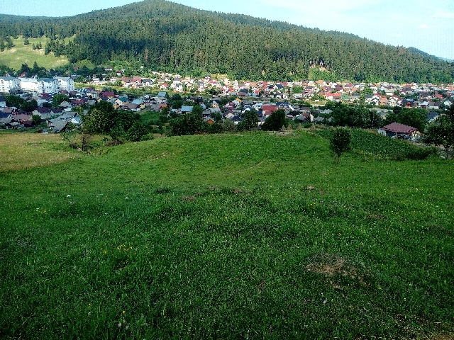 poza_2_(1)_727.jpg