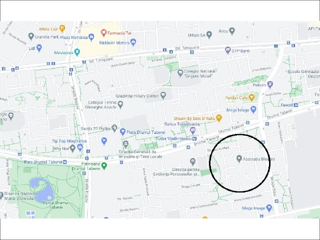 Imagine