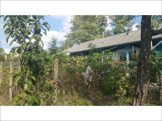Casa de vânzare sat Stuhulet, comuna Berezeni, Jud. Vaslui
