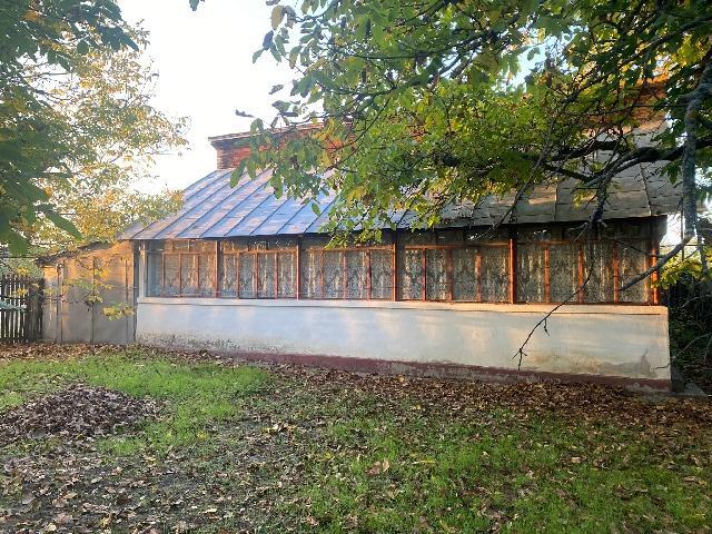 Imagine