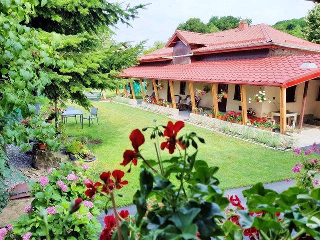 Inchiriere casa cu gradina Valea Prahovei
