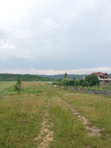 Teren 1ha intra si extravilan Strehaia